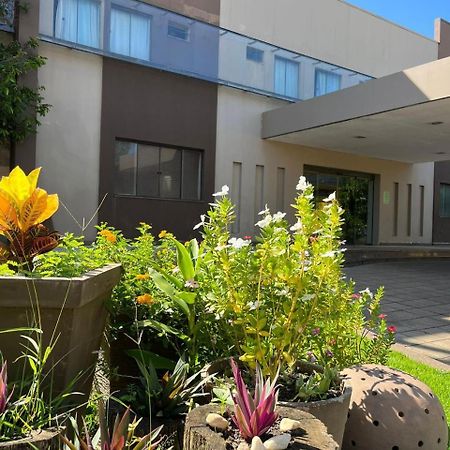Maximus Business Hotel Ji-Paraná Buitenkant foto