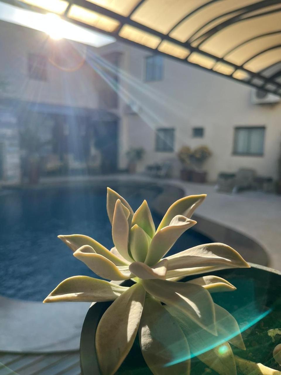 Maximus Business Hotel Ji-Paraná Buitenkant foto