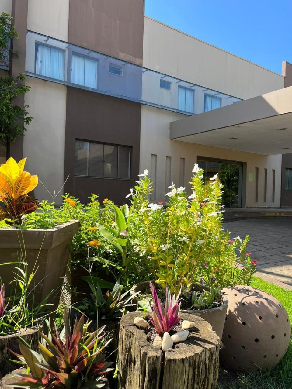 Maximus Business Hotel Ji-Paraná Buitenkant foto